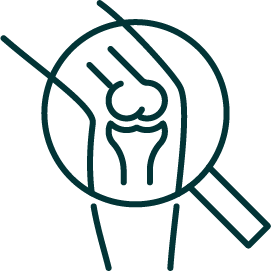 The Patellofemoral Joint 